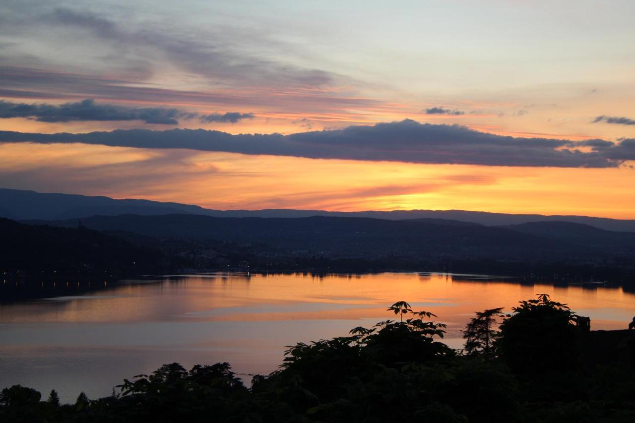 Maisonnette Vue Panoramique Lac D'Annecy Veyrier-du-Lac Dış mekan fotoğraf